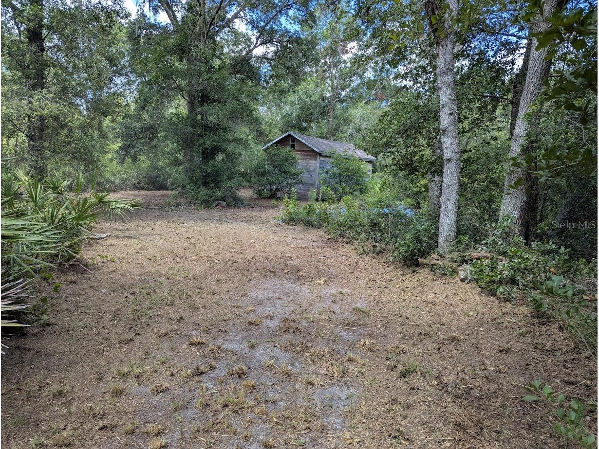 9001 Treiman Boulevard Webster FL 33597 W7868410 image12