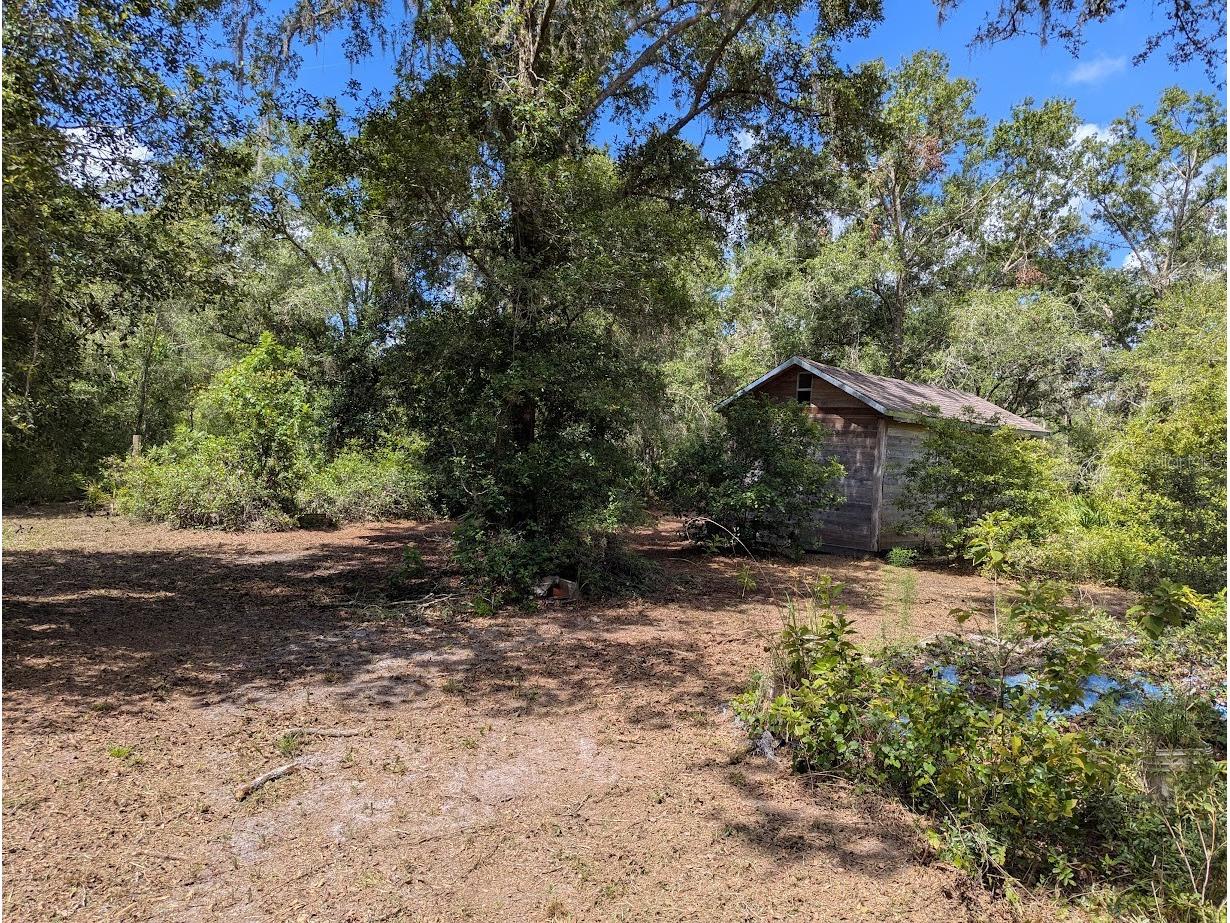 9001 Treiman Boulevard Webster FL 33597 W7868410 image13