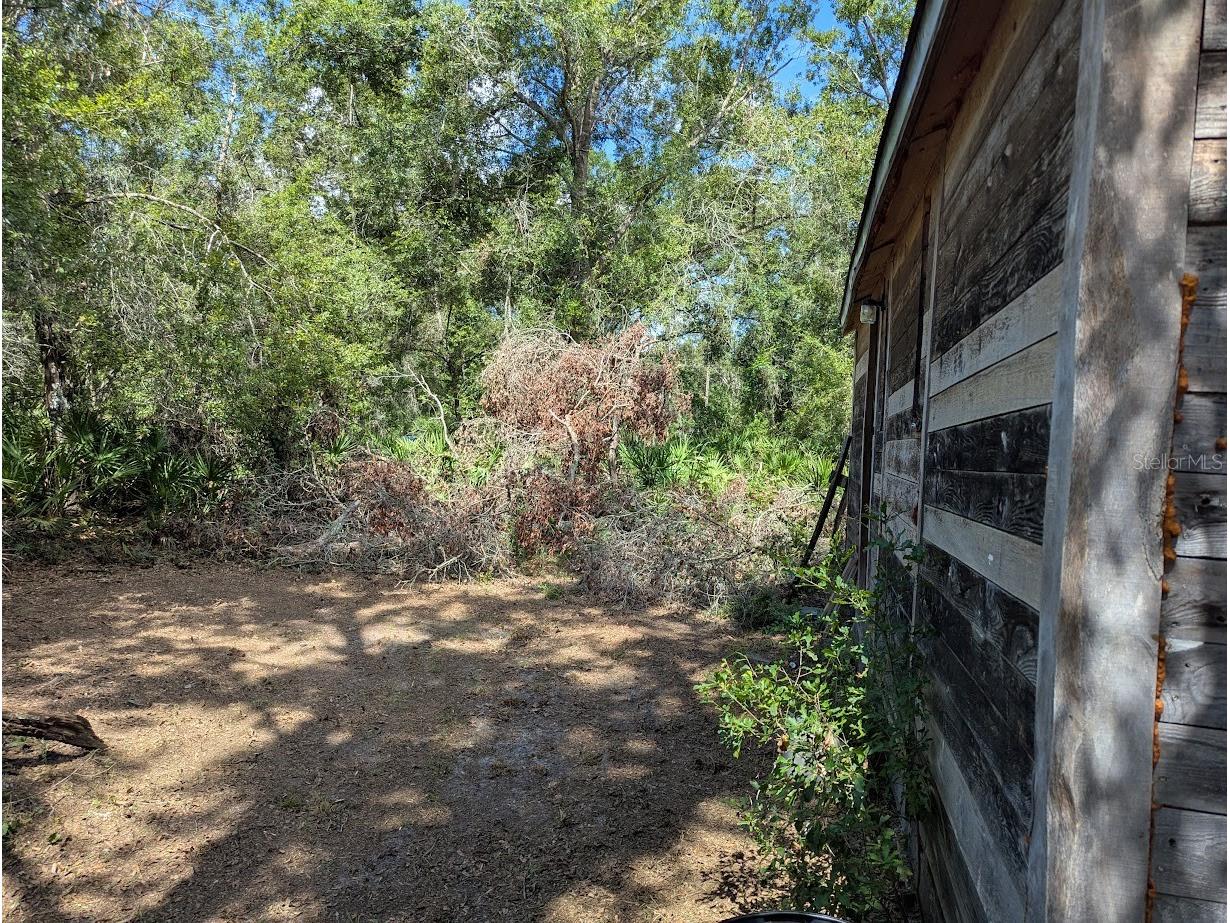 9001 Treiman Boulevard Webster FL 33597 W7868410 image16