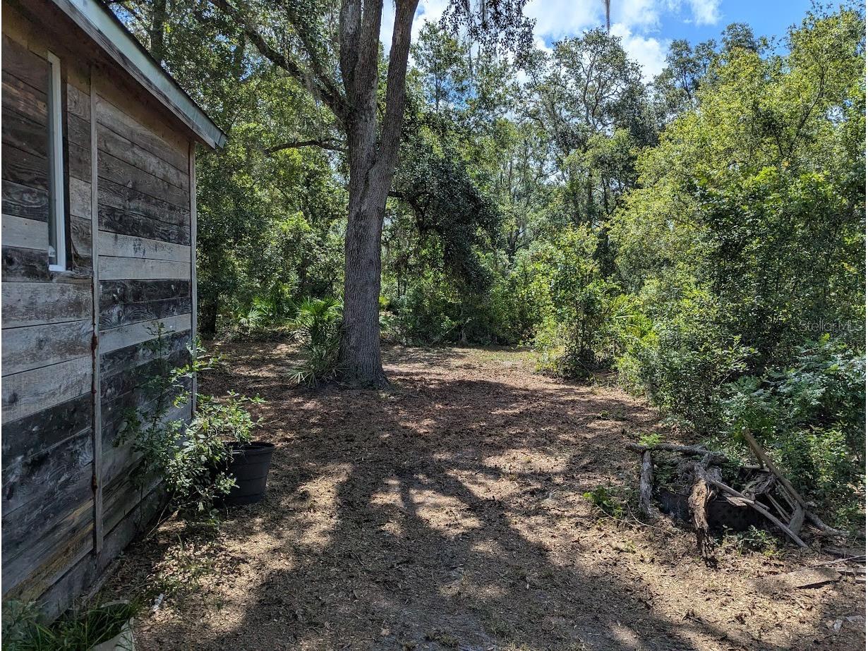 9001 Treiman Boulevard Webster FL 33597 W7868410 image17