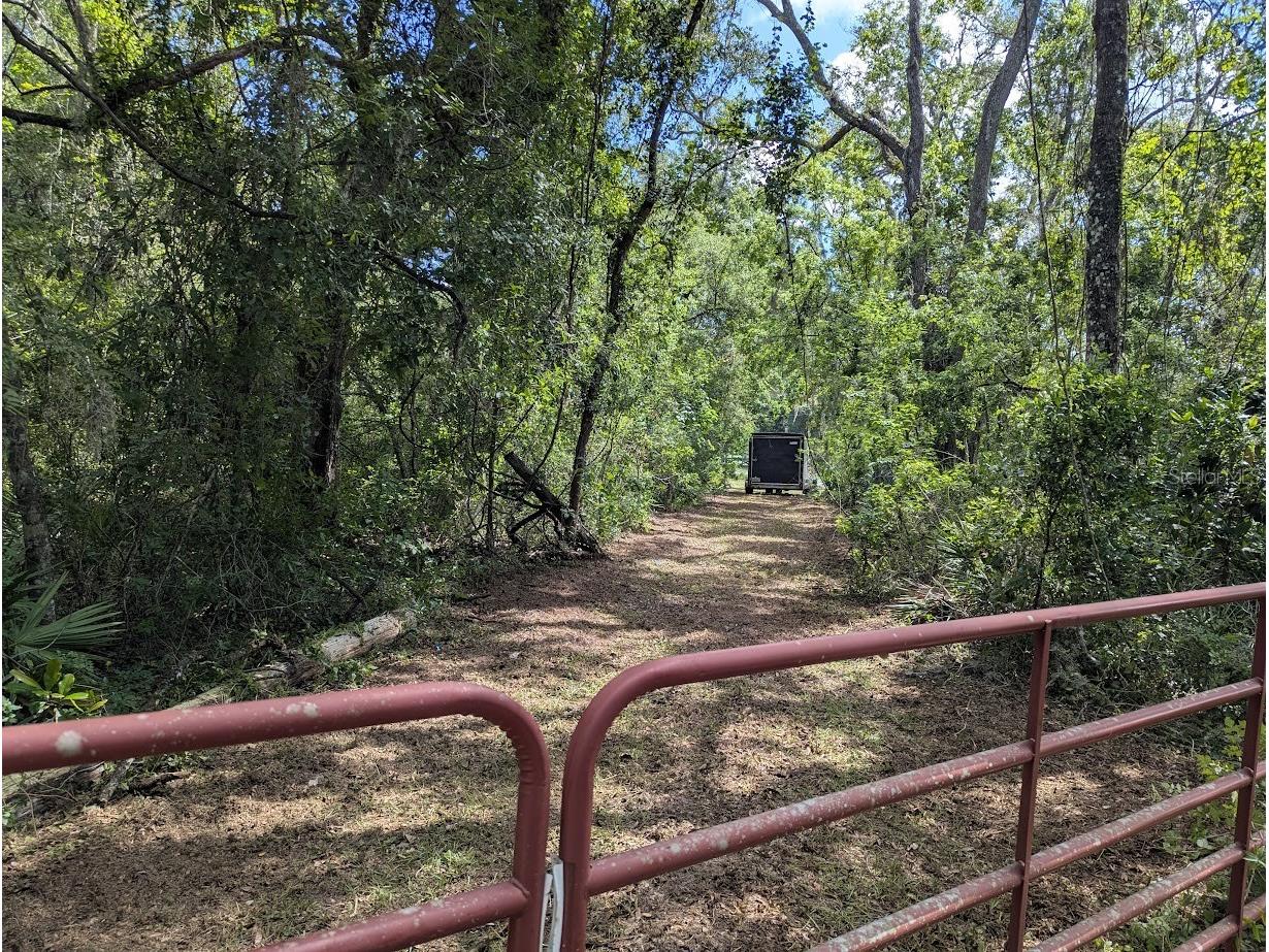 9001 Treiman Boulevard Webster FL 33597 W7868410 image2