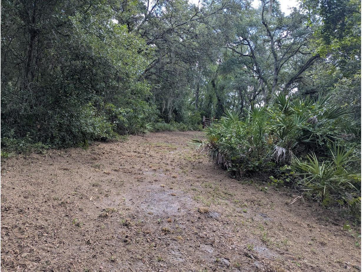 9001 Treiman Boulevard Webster FL 33597 W7868410 image22