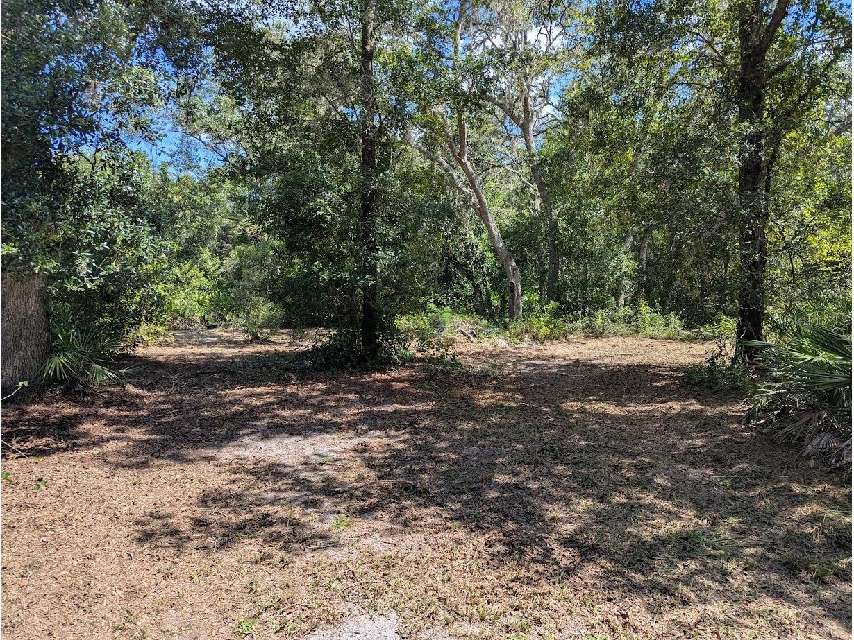 9001 Treiman Boulevard Webster FL 33597 W7868410 image23