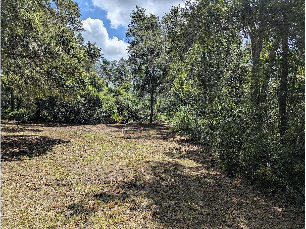 9001 Treiman Boulevard Webster FL 33597 W7868410 image25