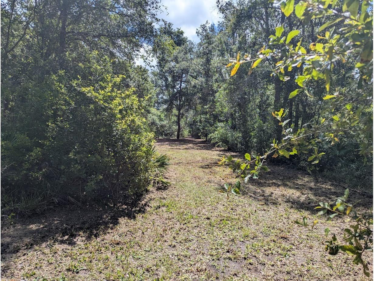 9001 Treiman Boulevard Webster FL 33597 W7868410 image26