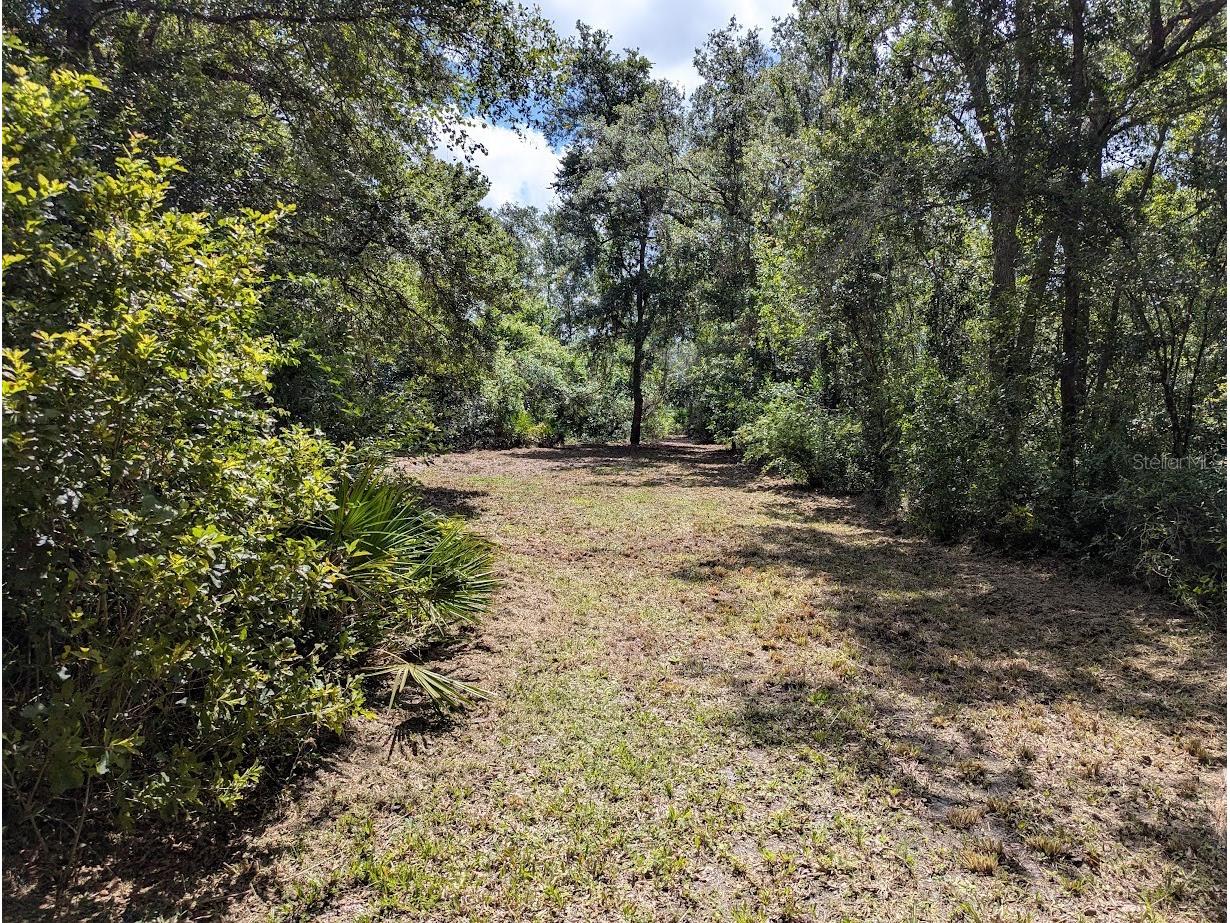 9001 Treiman Boulevard Webster FL 33597 W7868410 image27