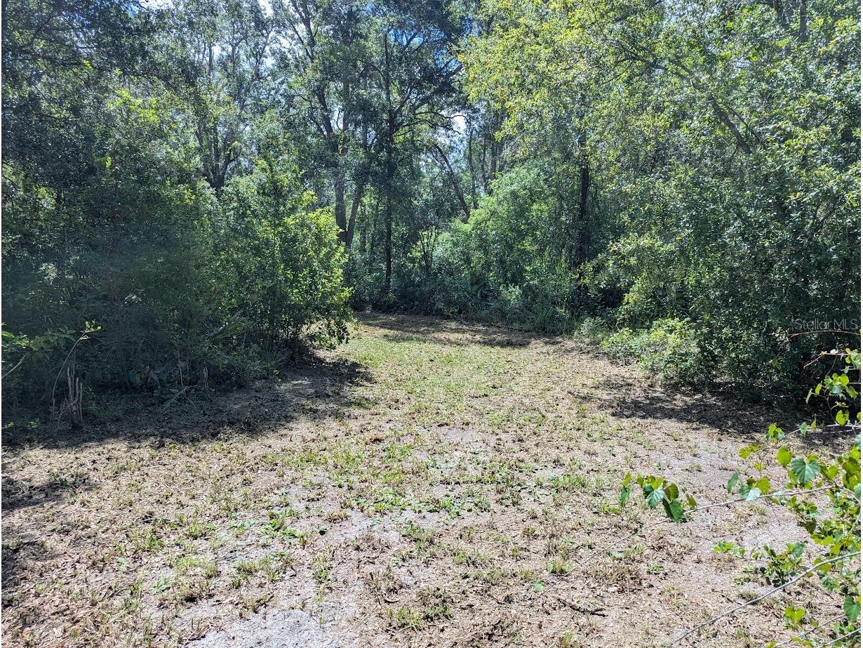 9001 Treiman Boulevard Webster FL 33597 W7868410 image28