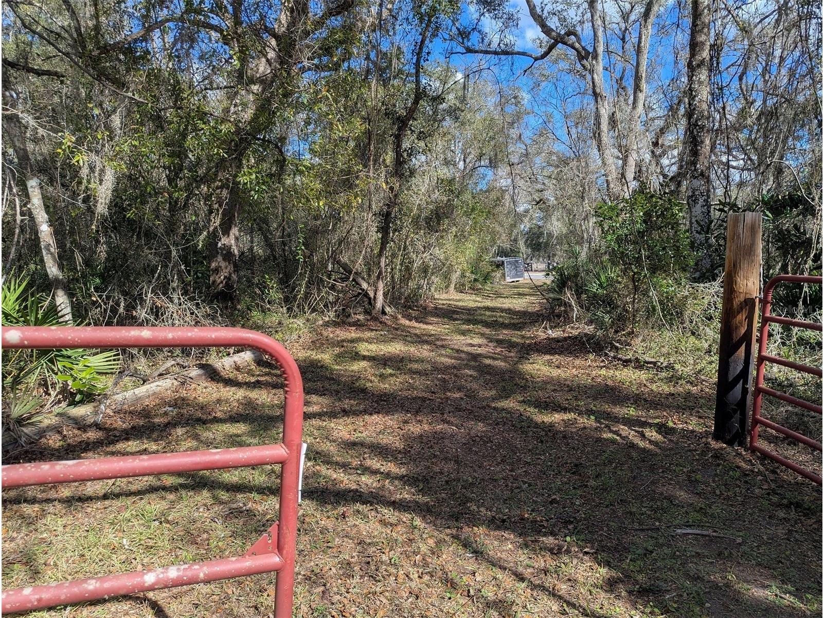 9001 Treiman Boulevard Webster FL 33597 W7868410 image3