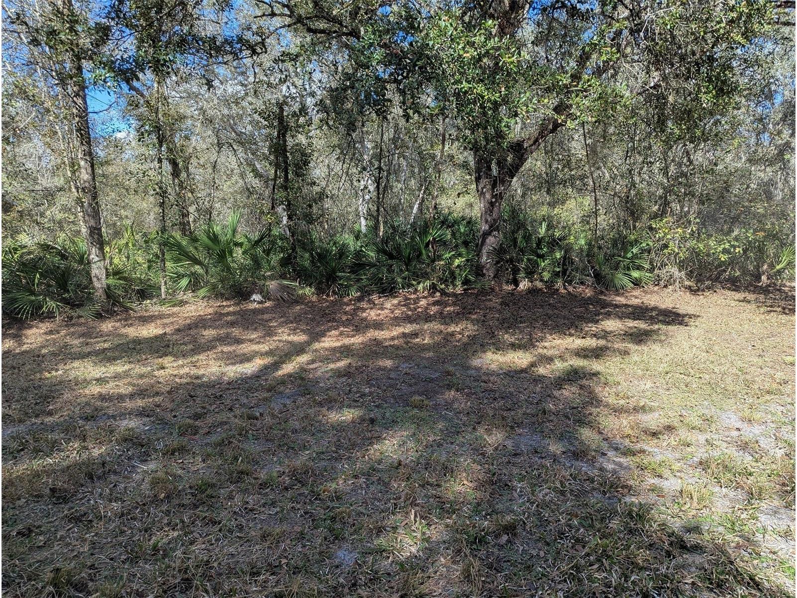 9001 Treiman Boulevard Webster FL 33597 W7868410 image30