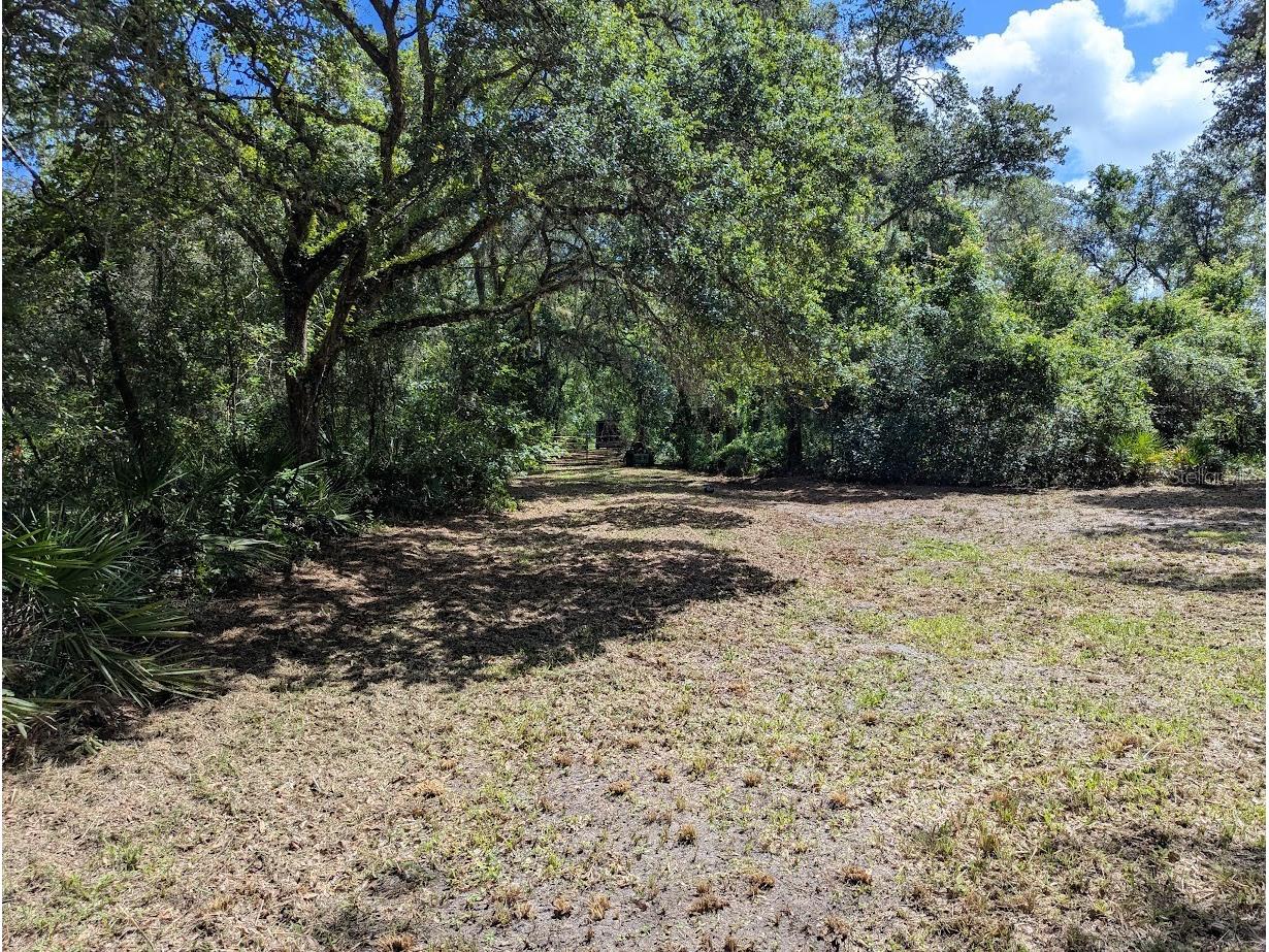 9001 Treiman Boulevard Webster FL 33597 W7868410 image31