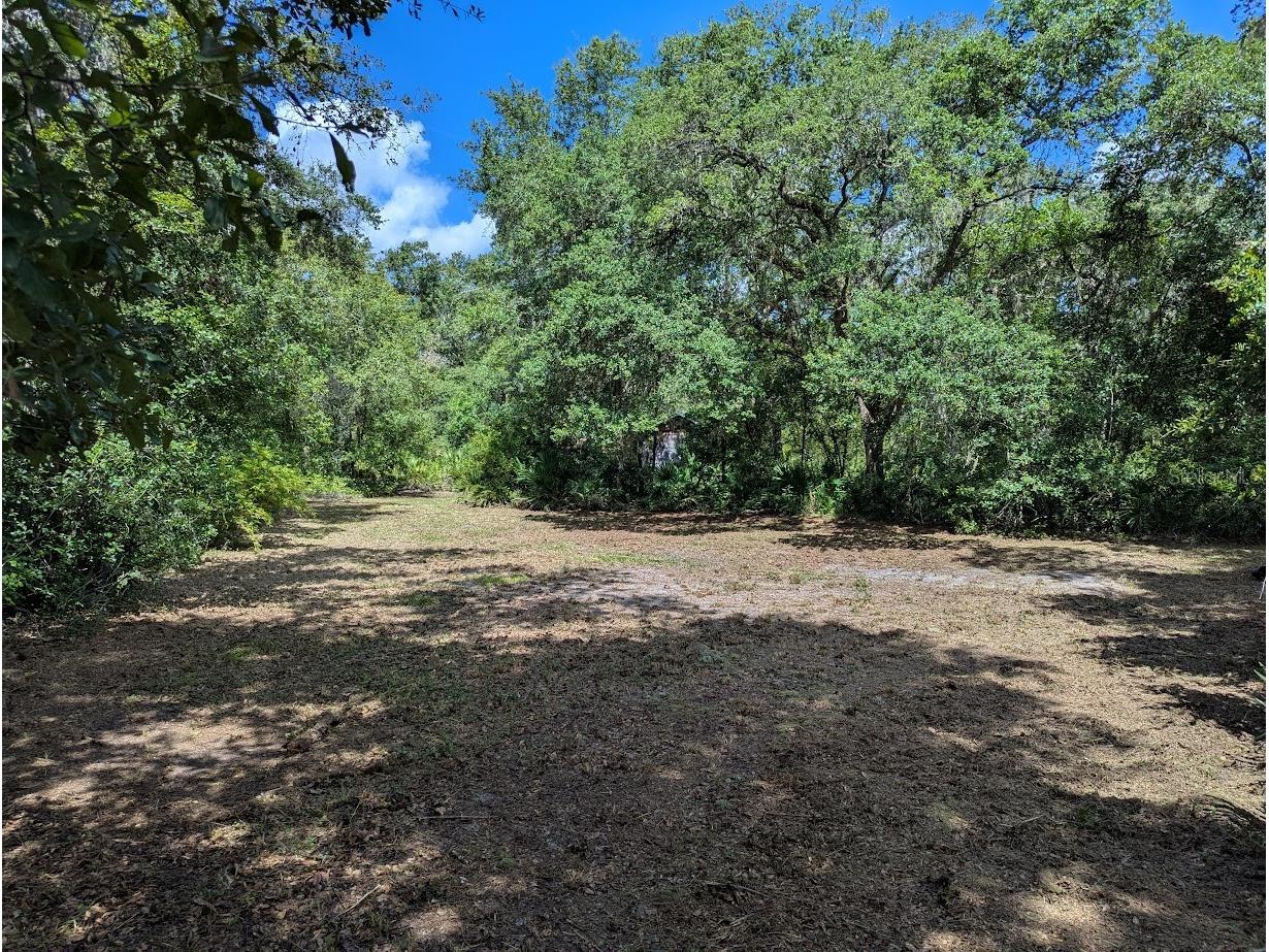 9001 Treiman Boulevard Webster FL 33597 W7868410 image32