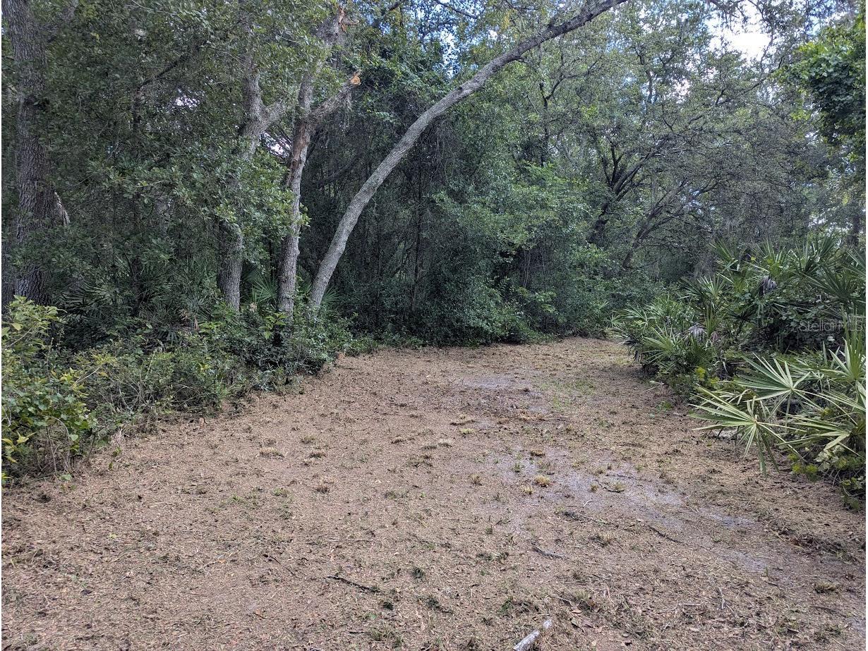 9001 Treiman Boulevard Webster FL 33597 W7868410 image33