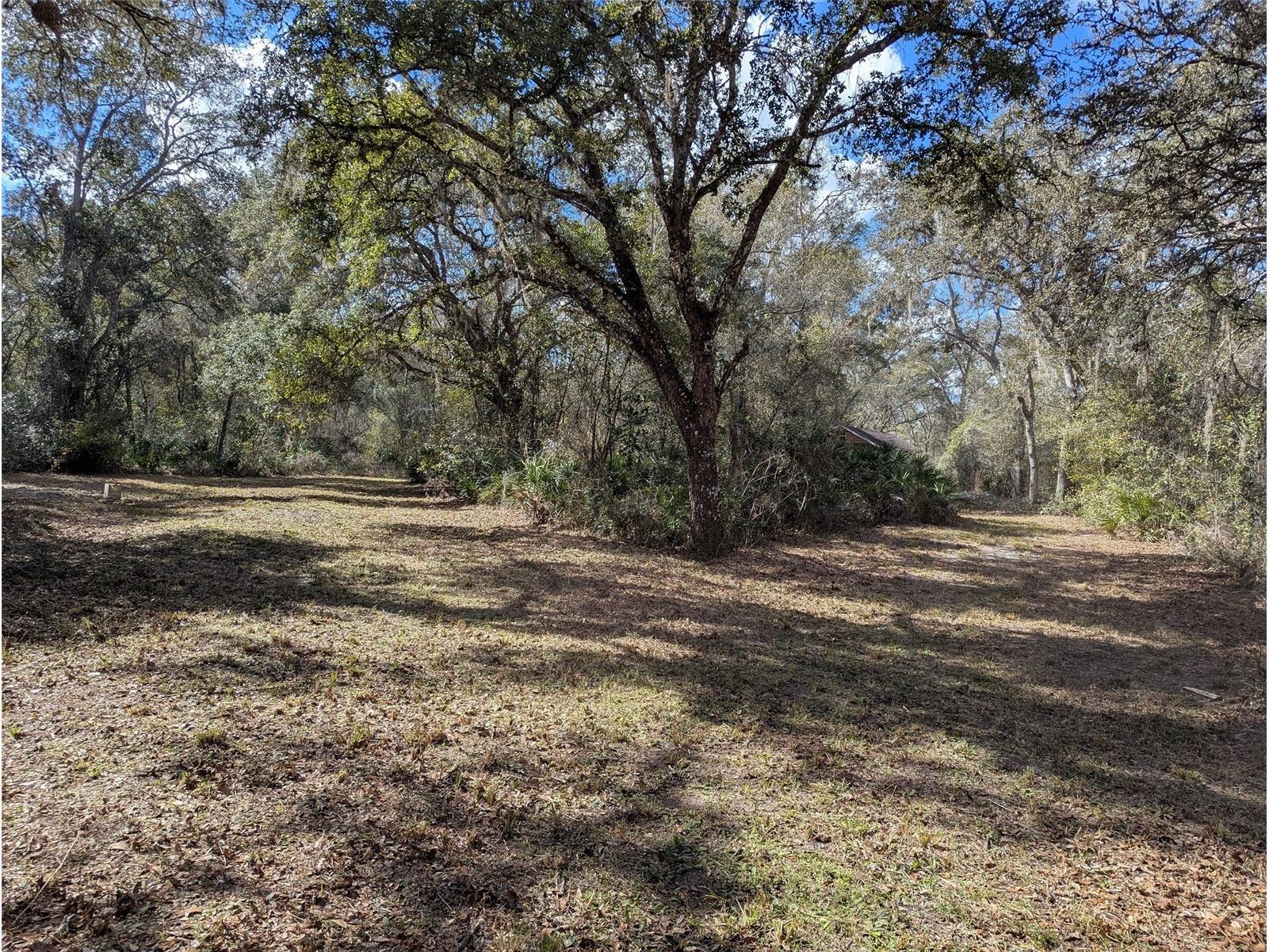 9001 Treiman Boulevard Webster FL 33597 W7868410 image35