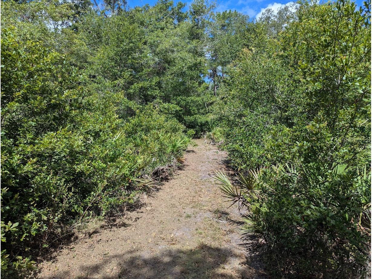 9001 Treiman Boulevard Webster FL 33597 W7868410 image36