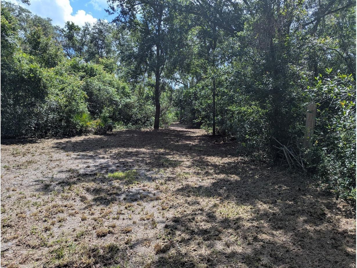 9001 Treiman Boulevard Webster FL 33597 W7868410 image37