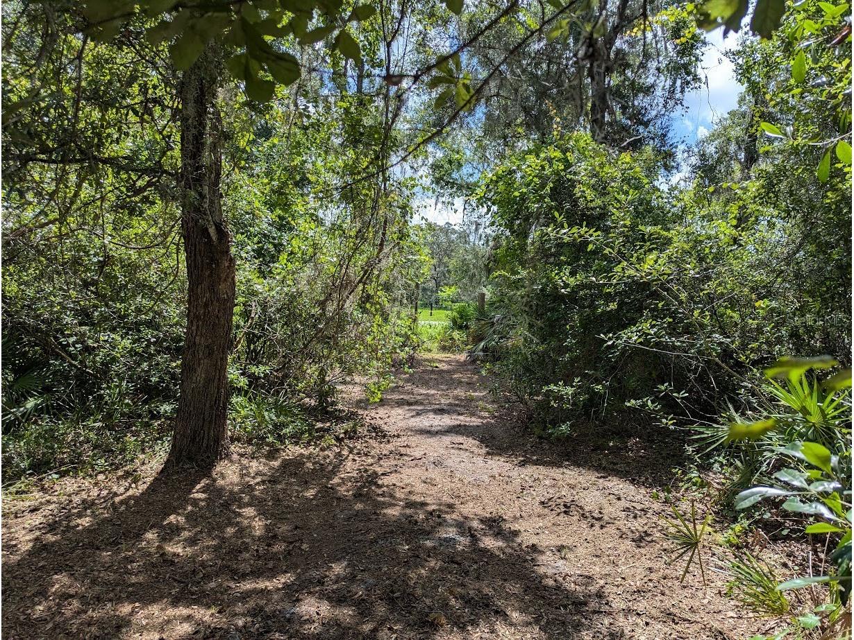 9001 Treiman Boulevard Webster FL 33597 W7868410 image38