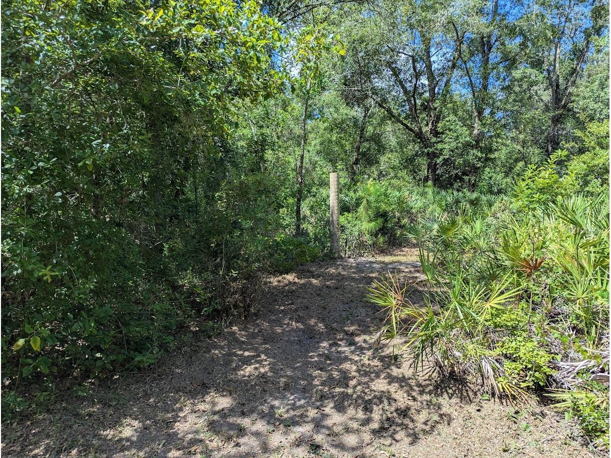 9001 Treiman Boulevard Webster FL 33597 W7868410 image39