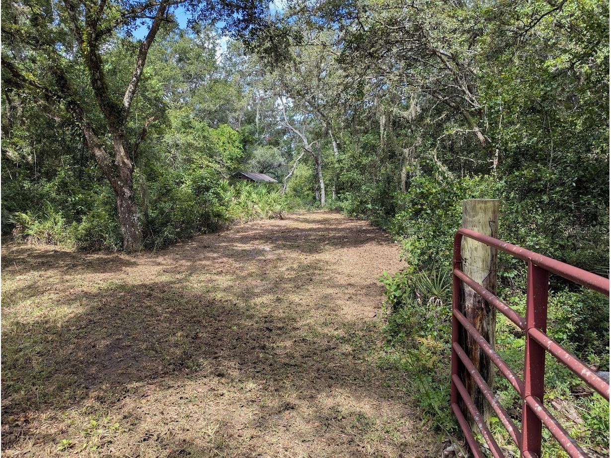 9001 Treiman Boulevard Webster FL 33597 W7868410 image4