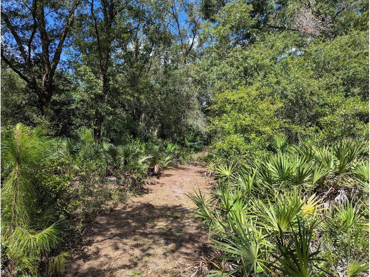 9001 Treiman Boulevard Webster FL 33597 W7868410 image40