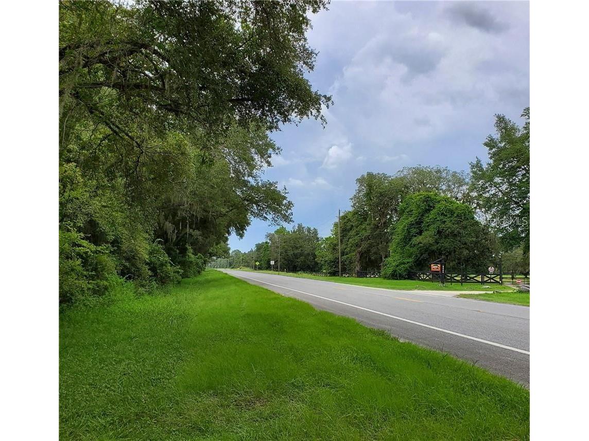 9001 Treiman Boulevard Webster FL 33597 W7868410 image43