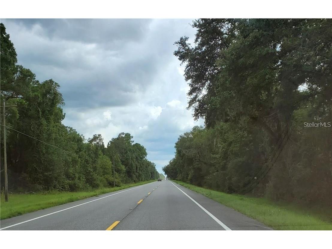 9001 Treiman Boulevard Webster FL 33597 W7868410 image44