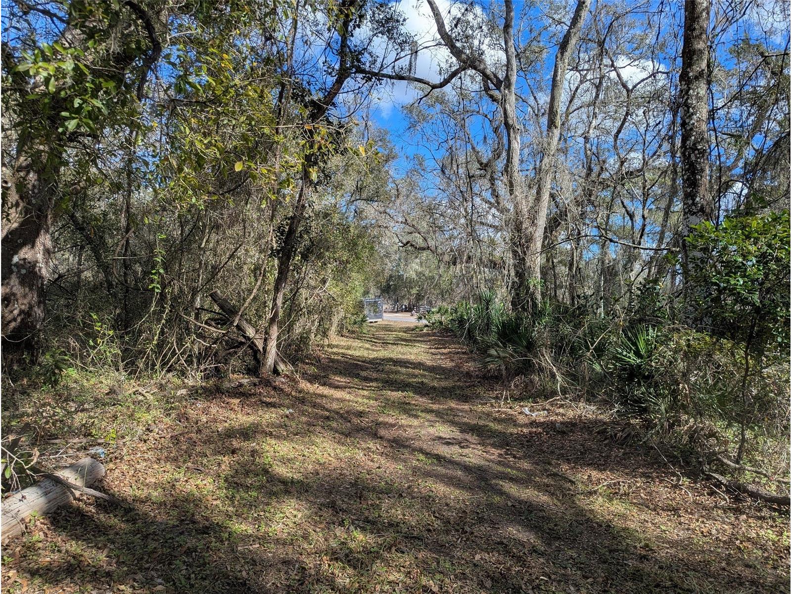 9001 Treiman Boulevard Webster FL 33597 W7868410 image5