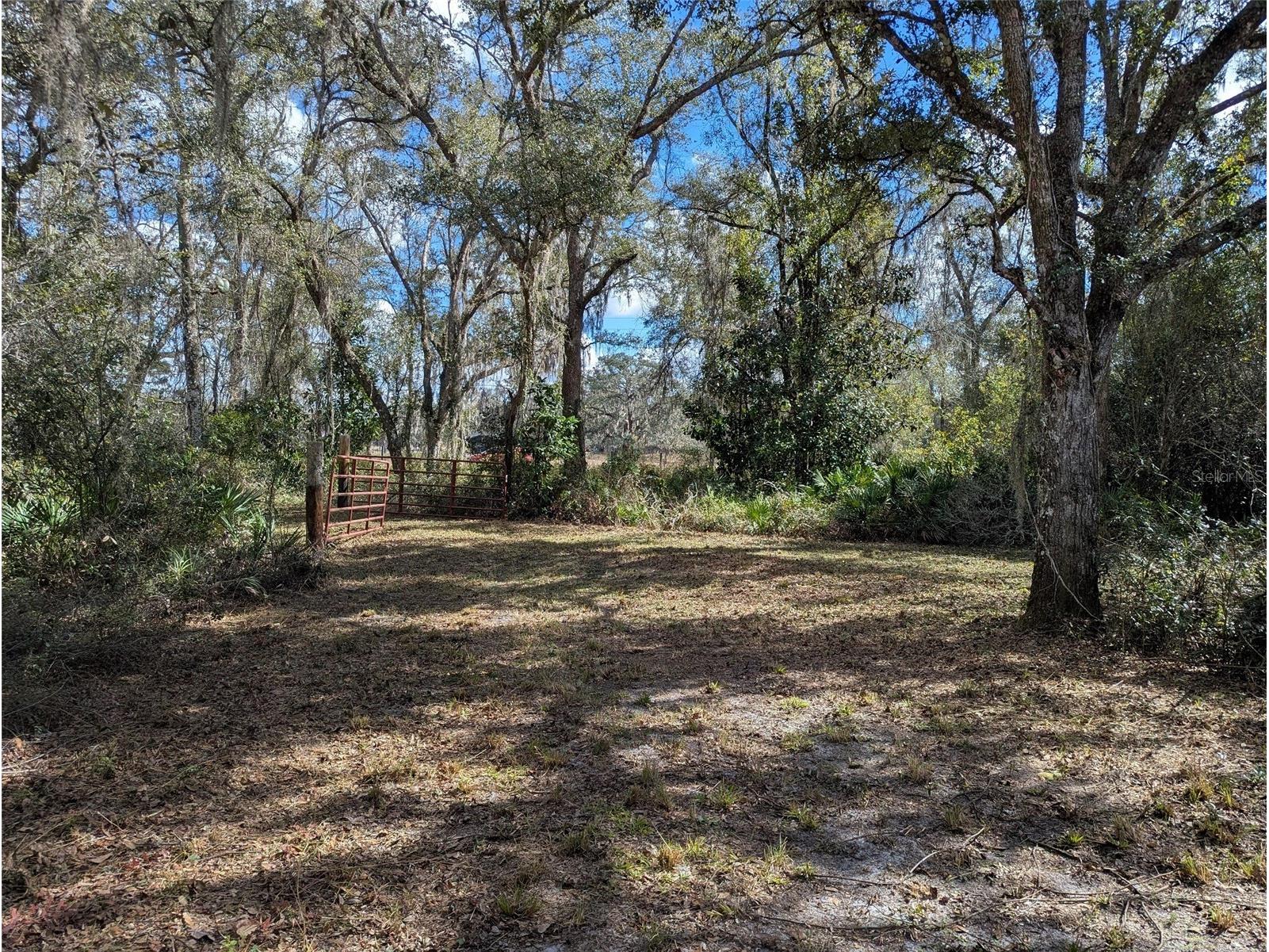 9001 Treiman Boulevard Webster FL 33597 W7868410 image6