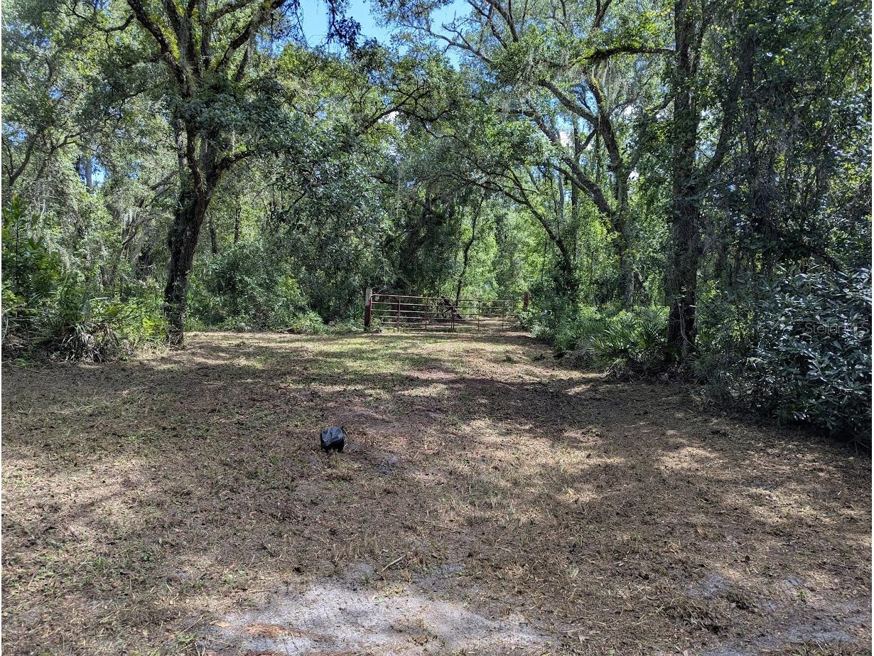 9001 Treiman Boulevard Webster FL 33597 W7868410 image7