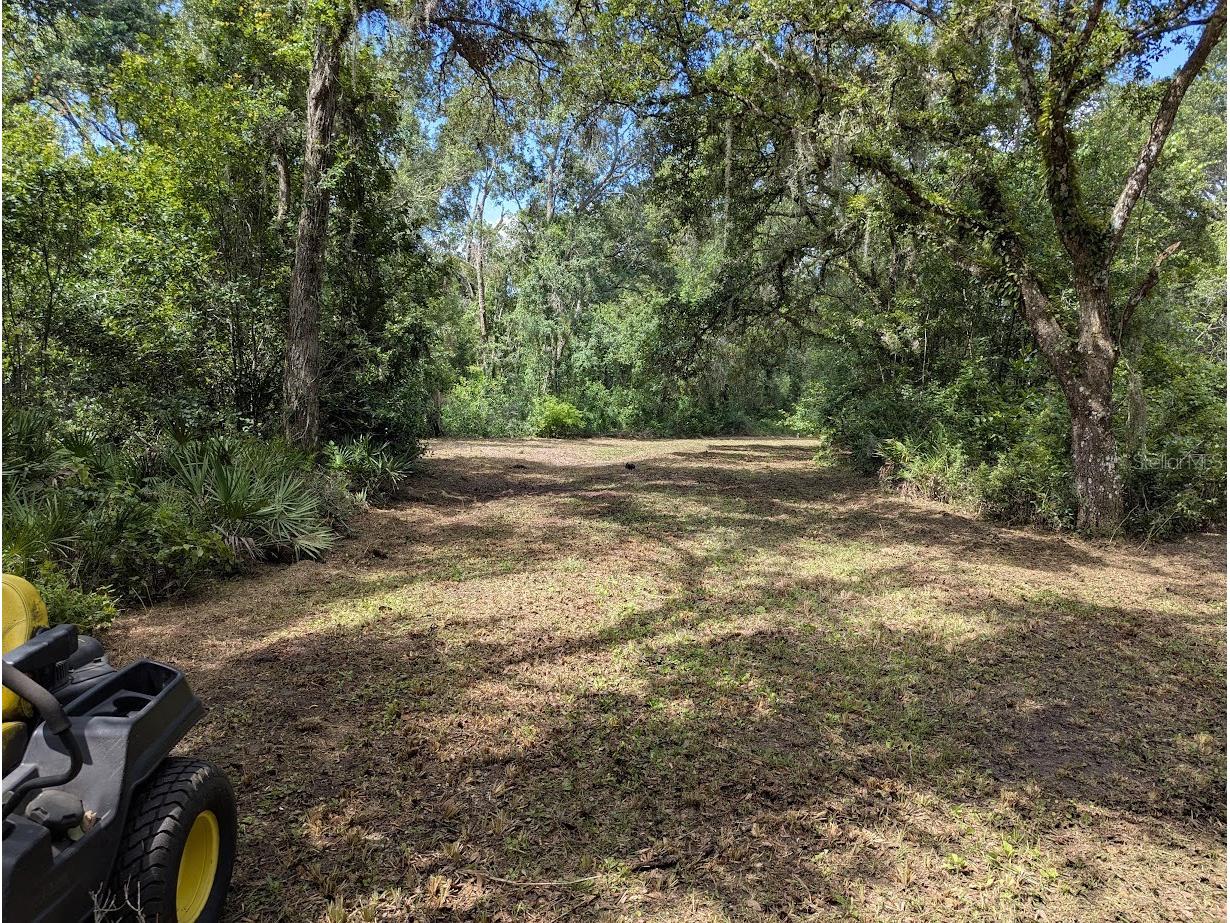 9001 Treiman Boulevard Webster FL 33597 W7868410 image8