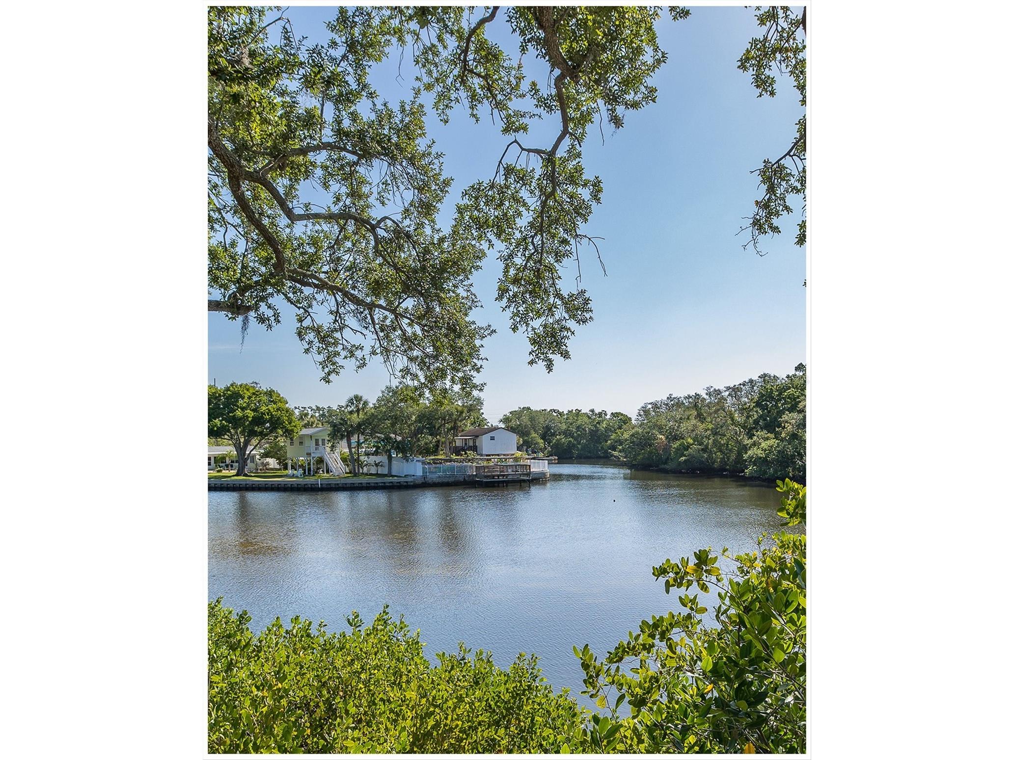 9001 Tudor Drive #H210 Tampa FL 33615 W7885074 image41