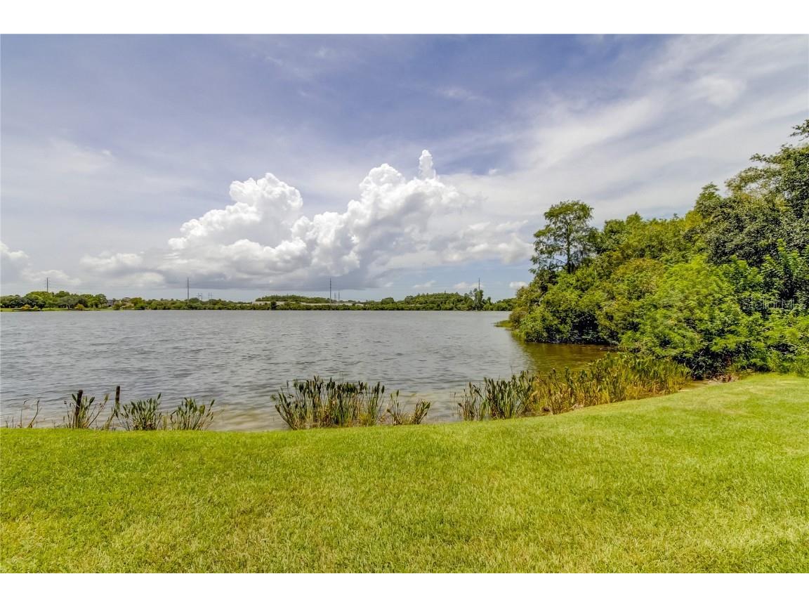 9002 Spring Garden Way Tampa FL 33626 TB8453255 image52