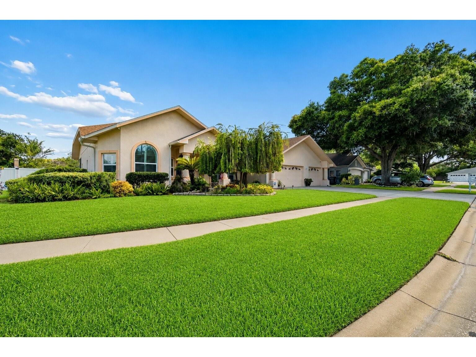 9002 Tarawynd Ct Odessa FL 33556 TB8526174 image5