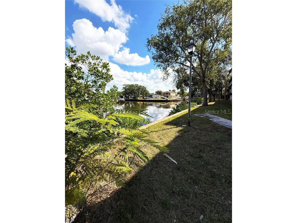 9002 Tudor Drive #K201 Tampa FL 33615 O6357756 image12