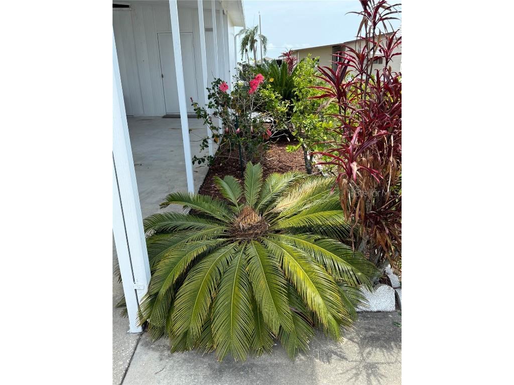 9003 30th Avenue E Palmetto FL 34221 C7509683 image36