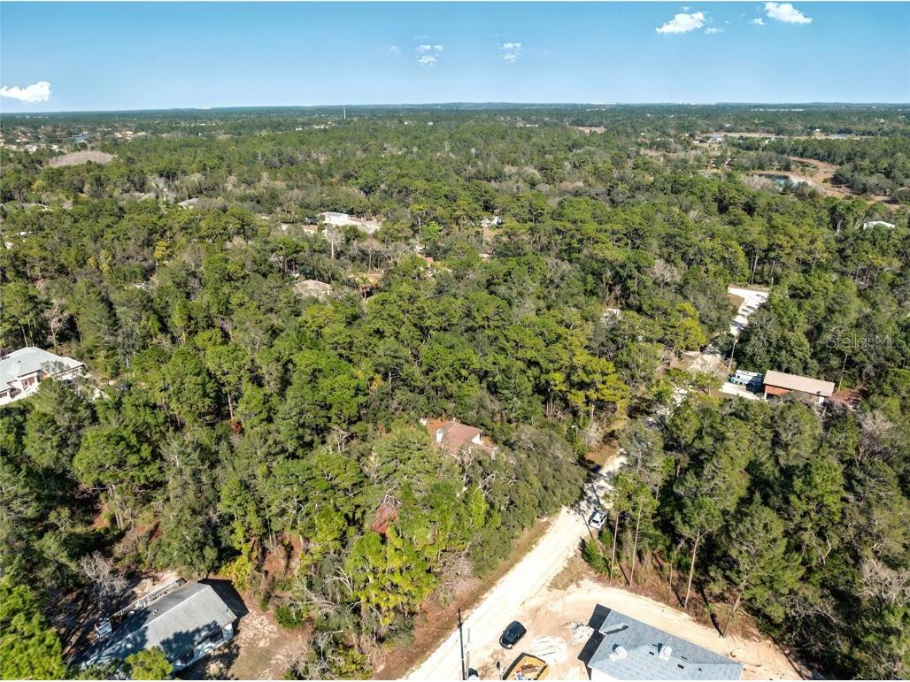 9003 Glenarm Way Weeki Wachee FL 34613 O6285929 image12