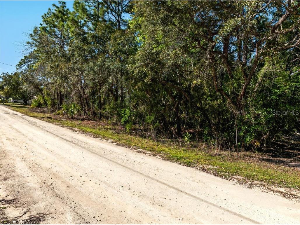 9003 Glenarm Way Weeki Wachee FL 34613 O6285929 image2