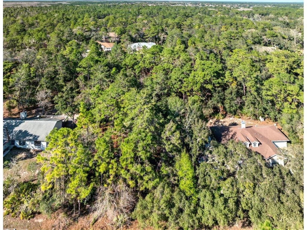 9003 Glenarm Way Weeki Wachee FL 34613 O6285929 image3