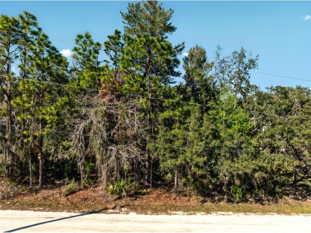 9003 Glenarm Way Weeki Wachee FL 34613 O6285929 image4