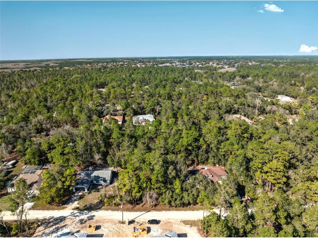 9003 Glenarm Way Weeki Wachee FL 34613 O6285929 image5