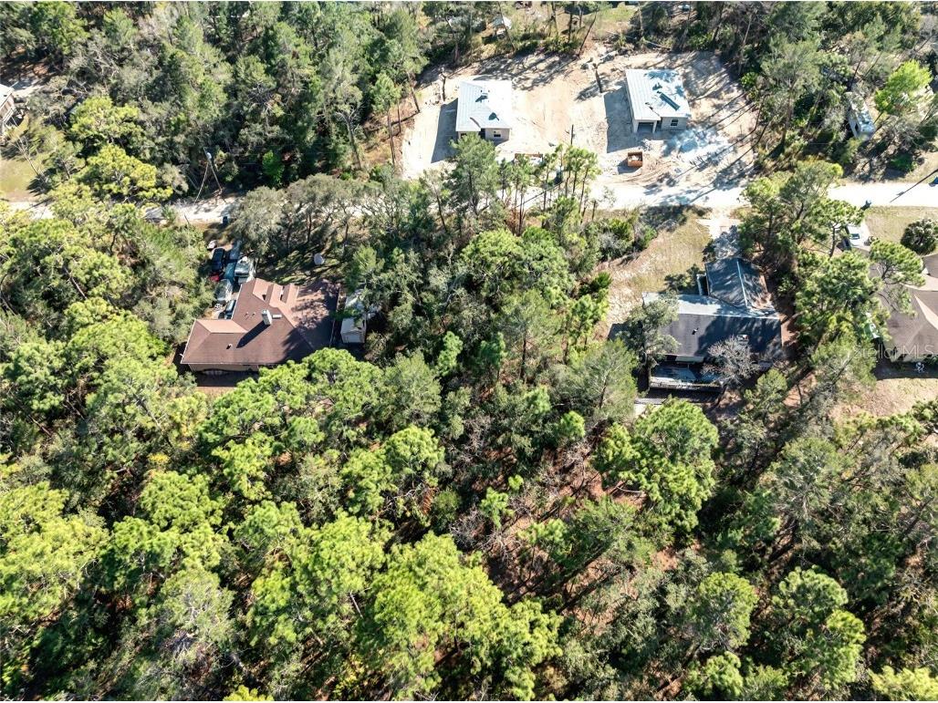 9003 Glenarm Way Weeki Wachee FL 34613 O6285929 image7