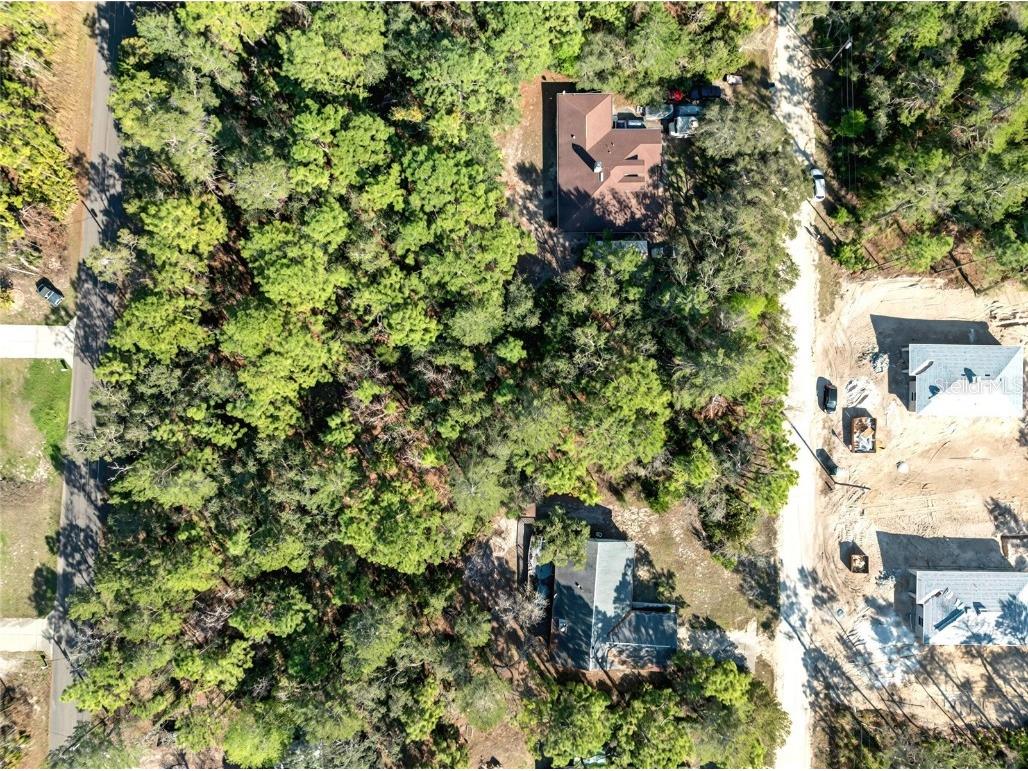 9003 Glenarm Way Weeki Wachee FL 34613 O6285929 image9