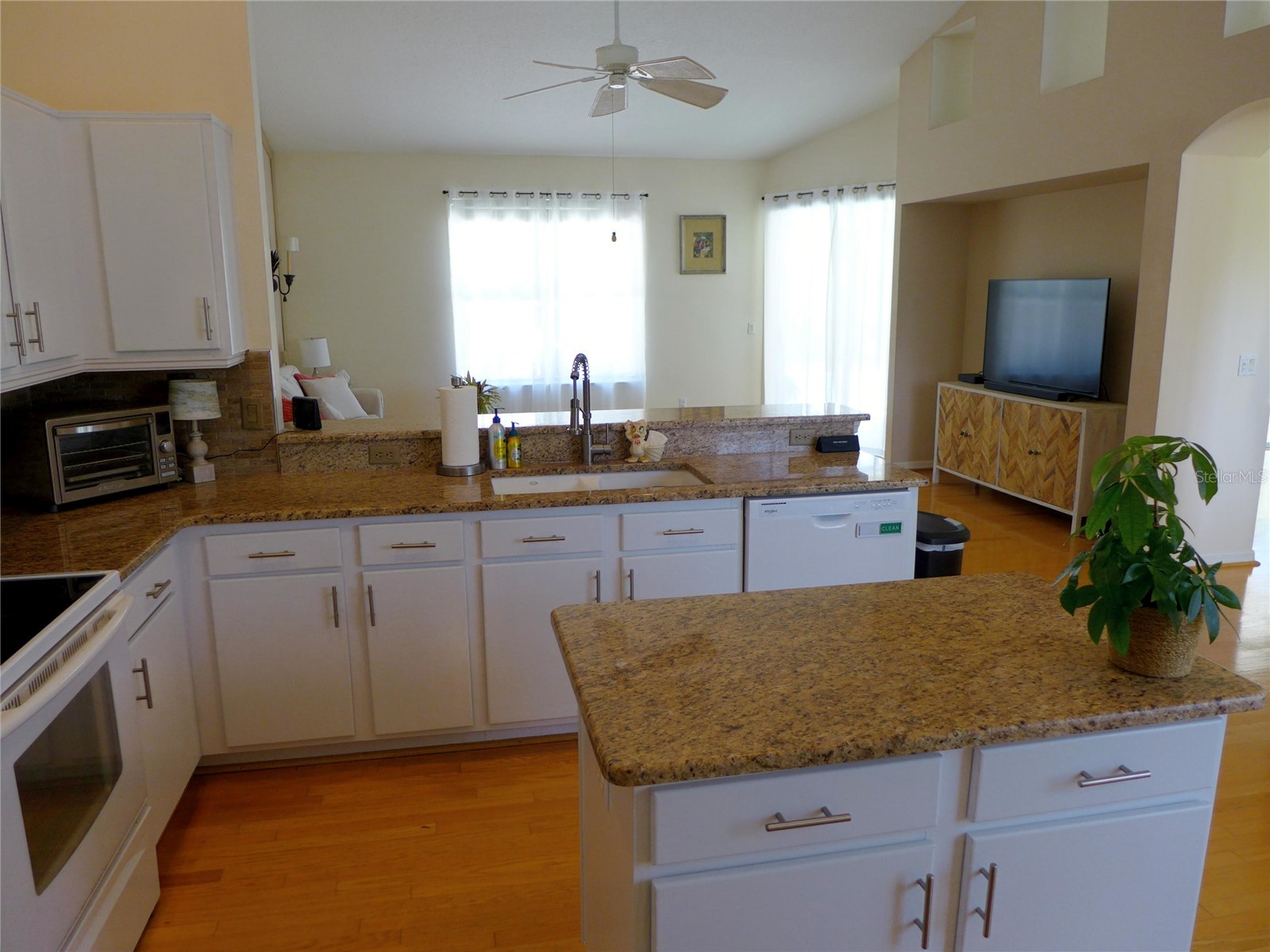 9003 Oakcrest Circle Mount Dora FL 32757 G5109997 image10