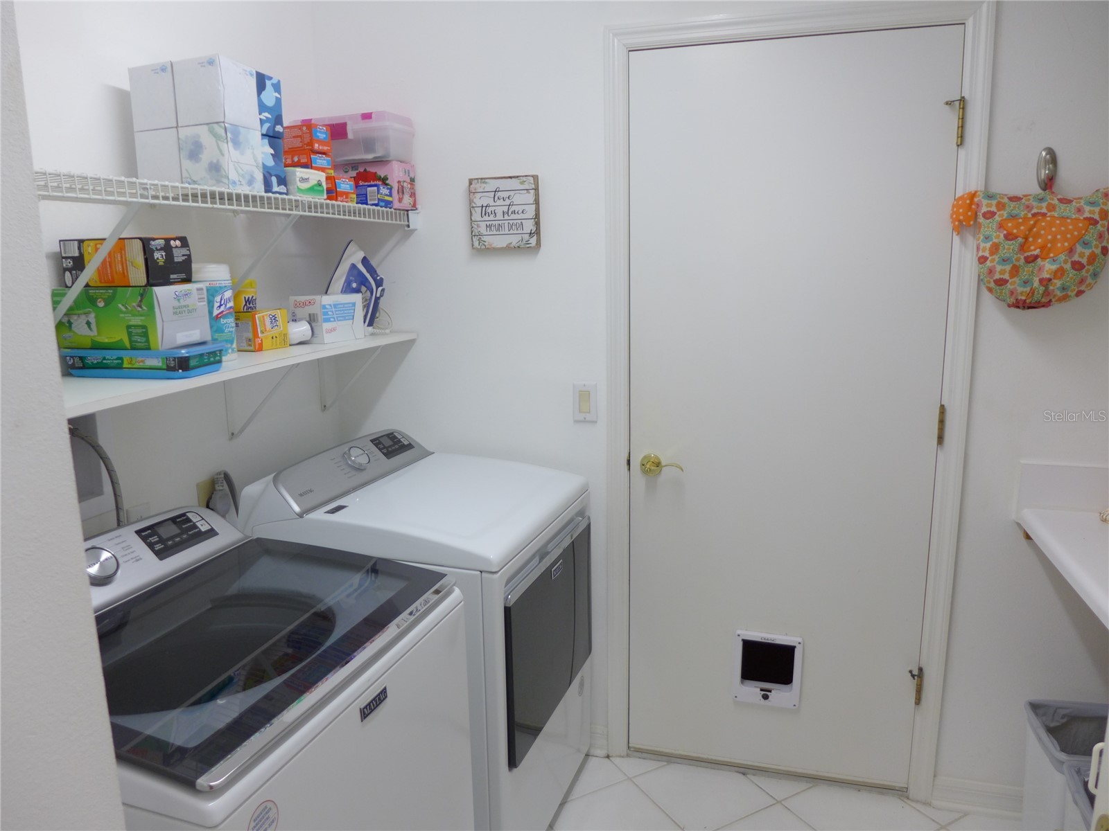 9003 Oakcrest Circle Mount Dora FL 32757 G5109997 image13