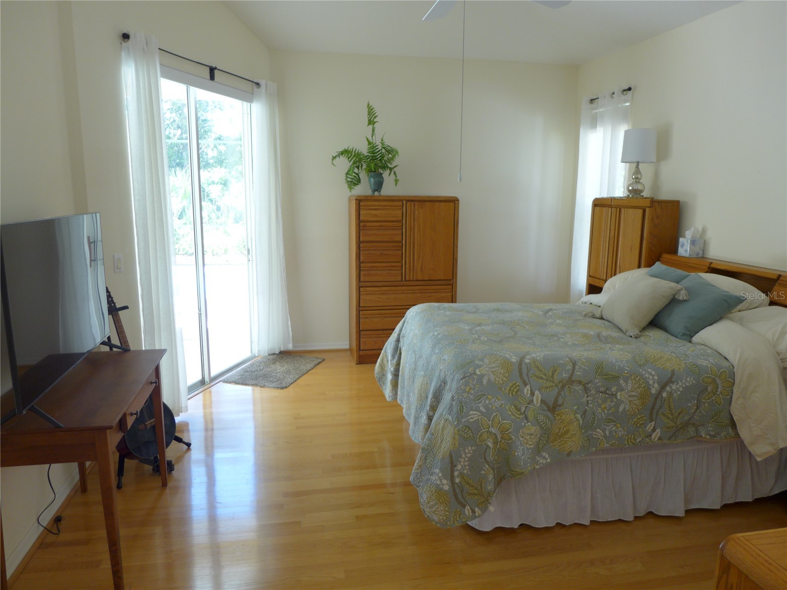 9003 Oakcrest Circle Mount Dora FL 32757 G5109997 image16