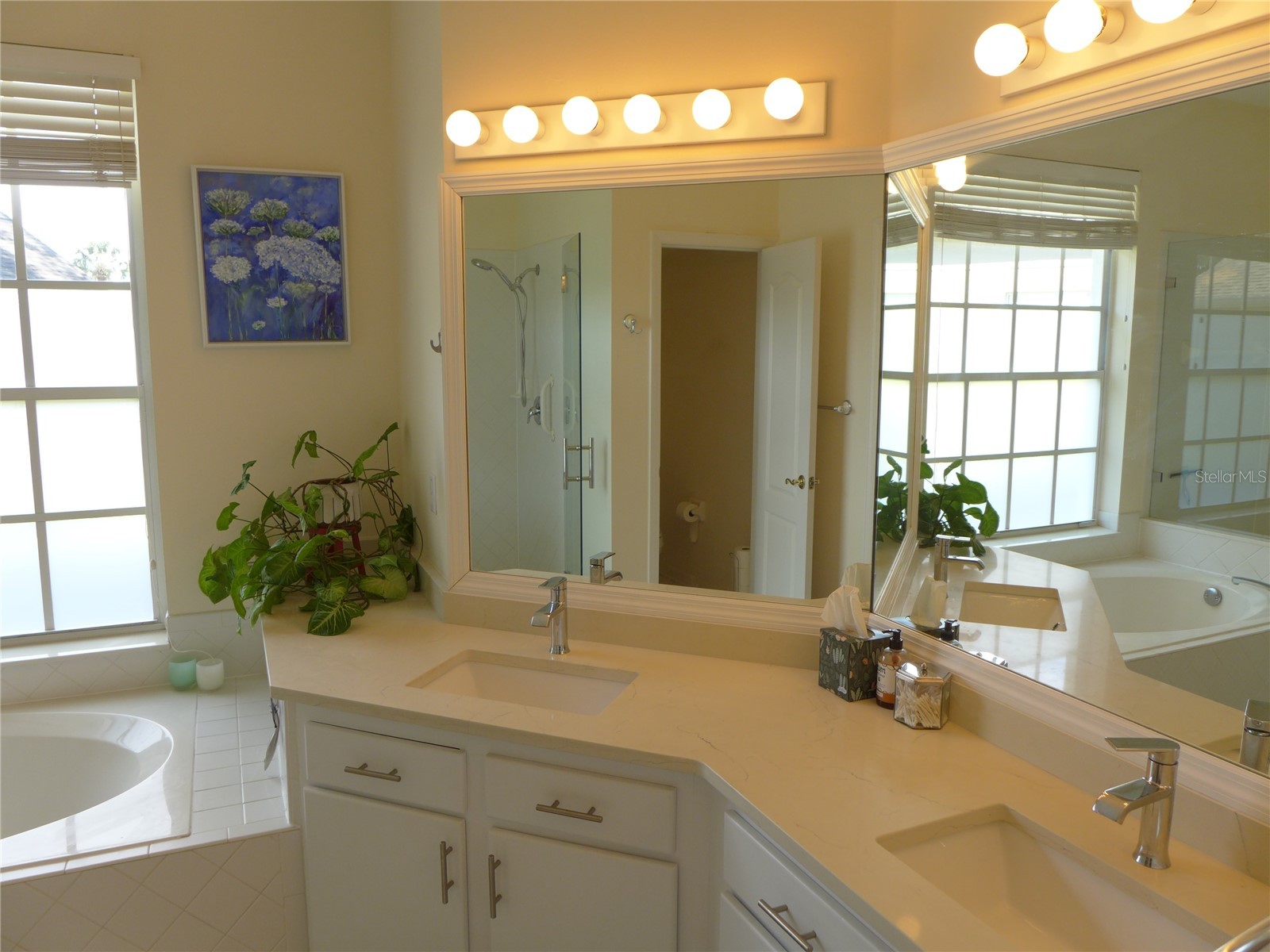 9003 Oakcrest Circle Mount Dora FL 32757 G5109997 image20