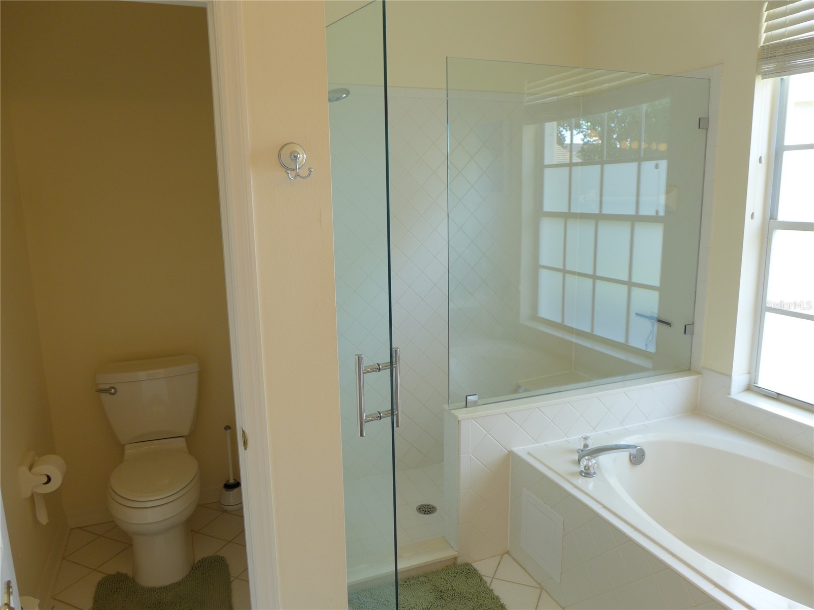 9003 Oakcrest Circle Mount Dora FL 32757 G5109997 image21