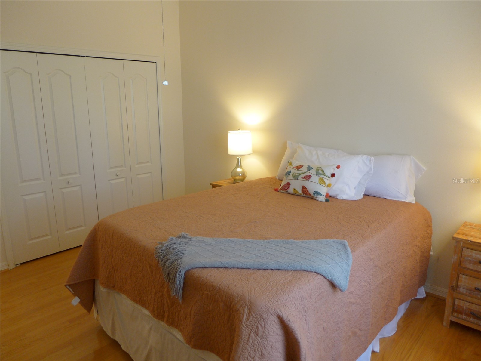 9003 Oakcrest Circle Mount Dora FL 32757 G5109997 image23