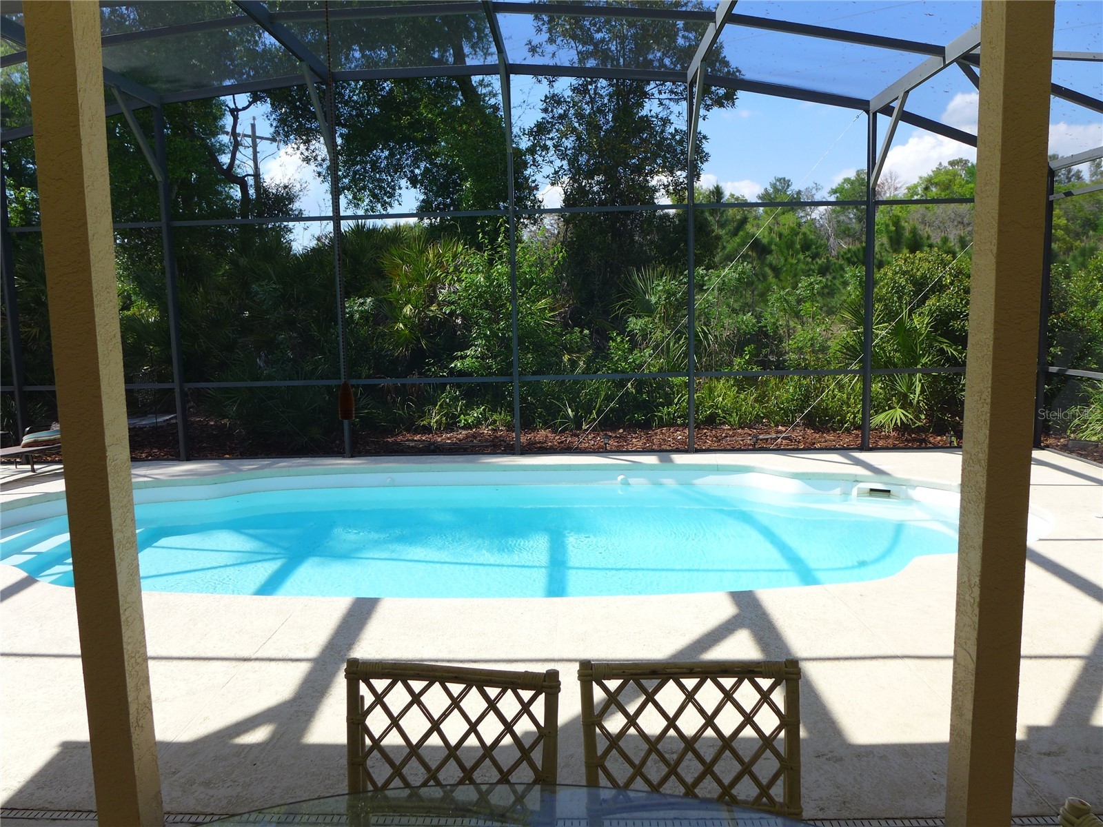 9003 Oakcrest Circle Mount Dora FL 32757 G5109997 image31