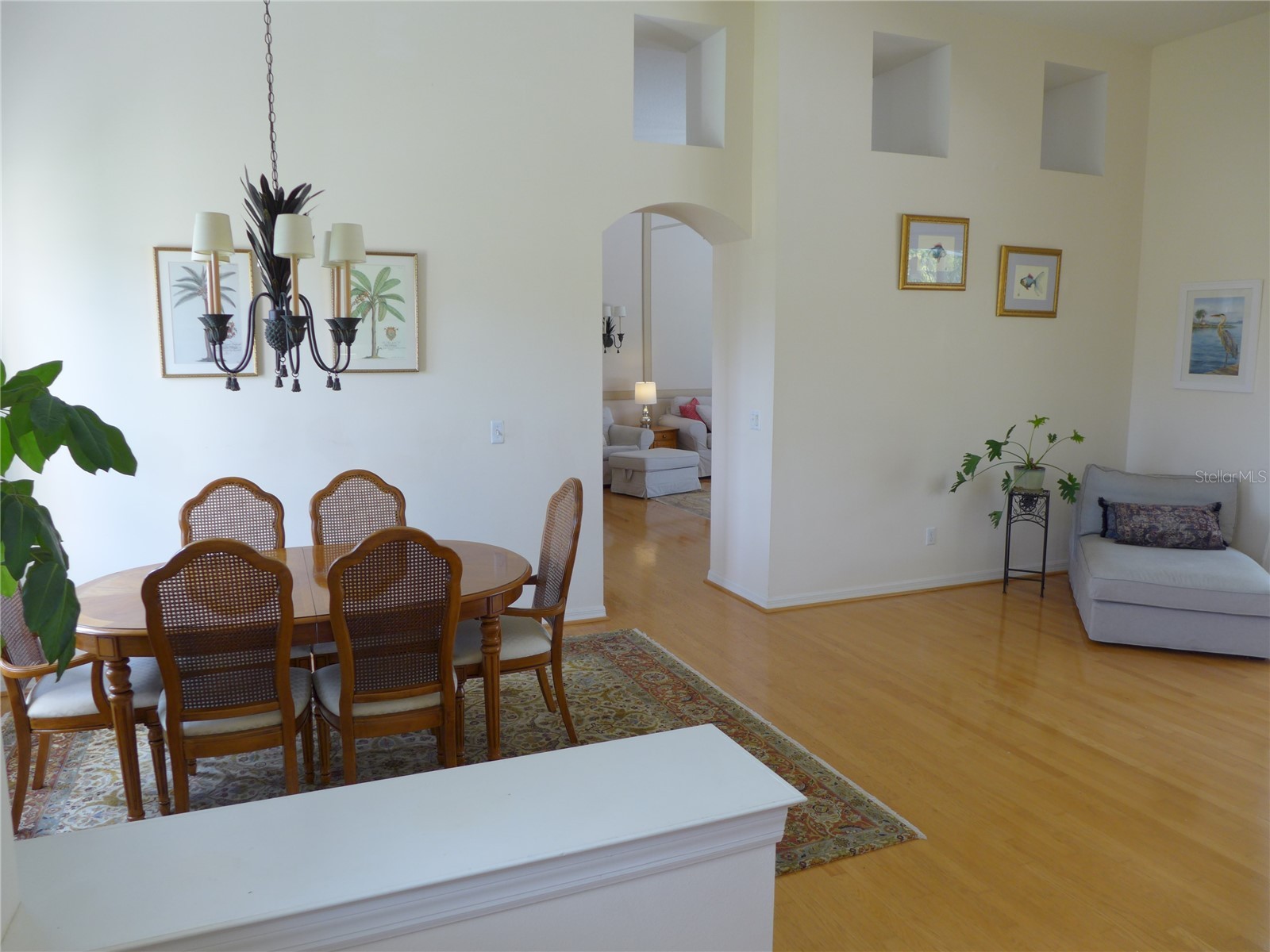 9003 Oakcrest Circle Mount Dora FL 32757 G5109997 image7