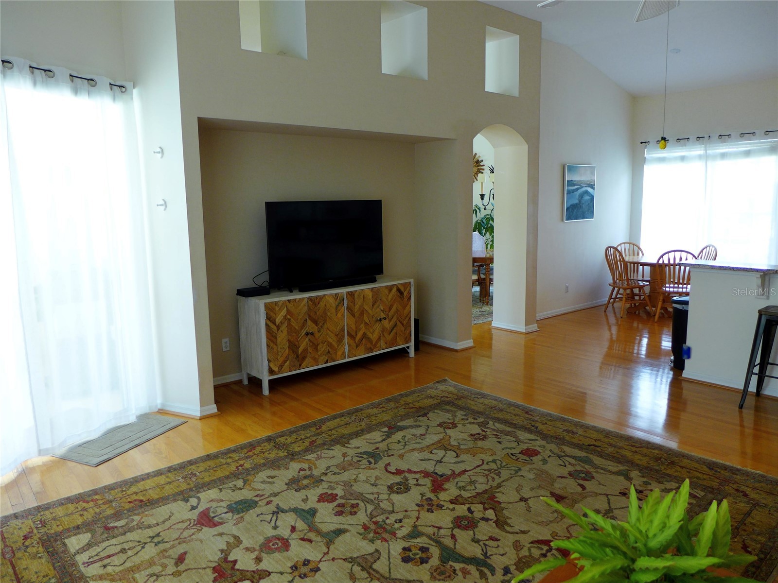 9003 Oakcrest Circle Mount Dora FL 32757 G5109997 image9